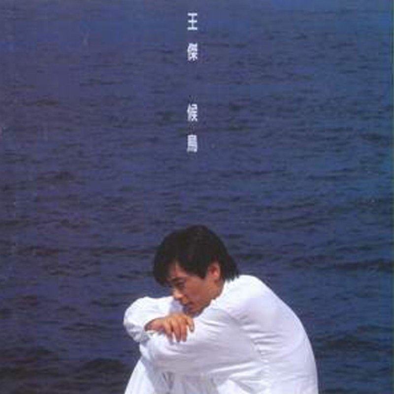 王杰 - 候鸟（1994/FLAC/分轨/260M）