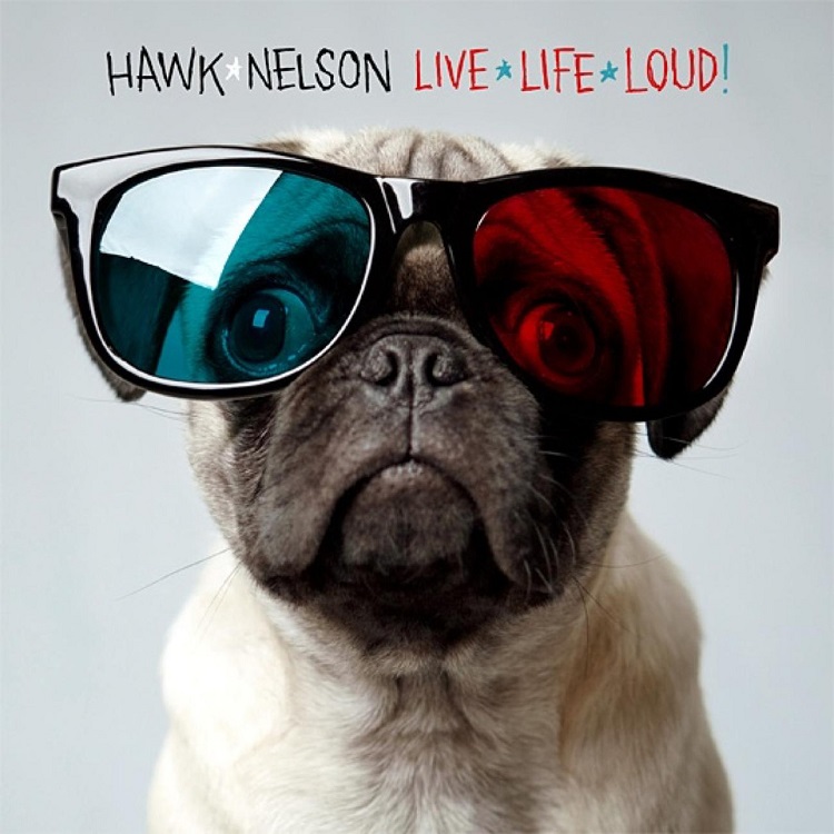 Hawk Nelson - Live Life Loud（2009/FLAC/分轨/307M）